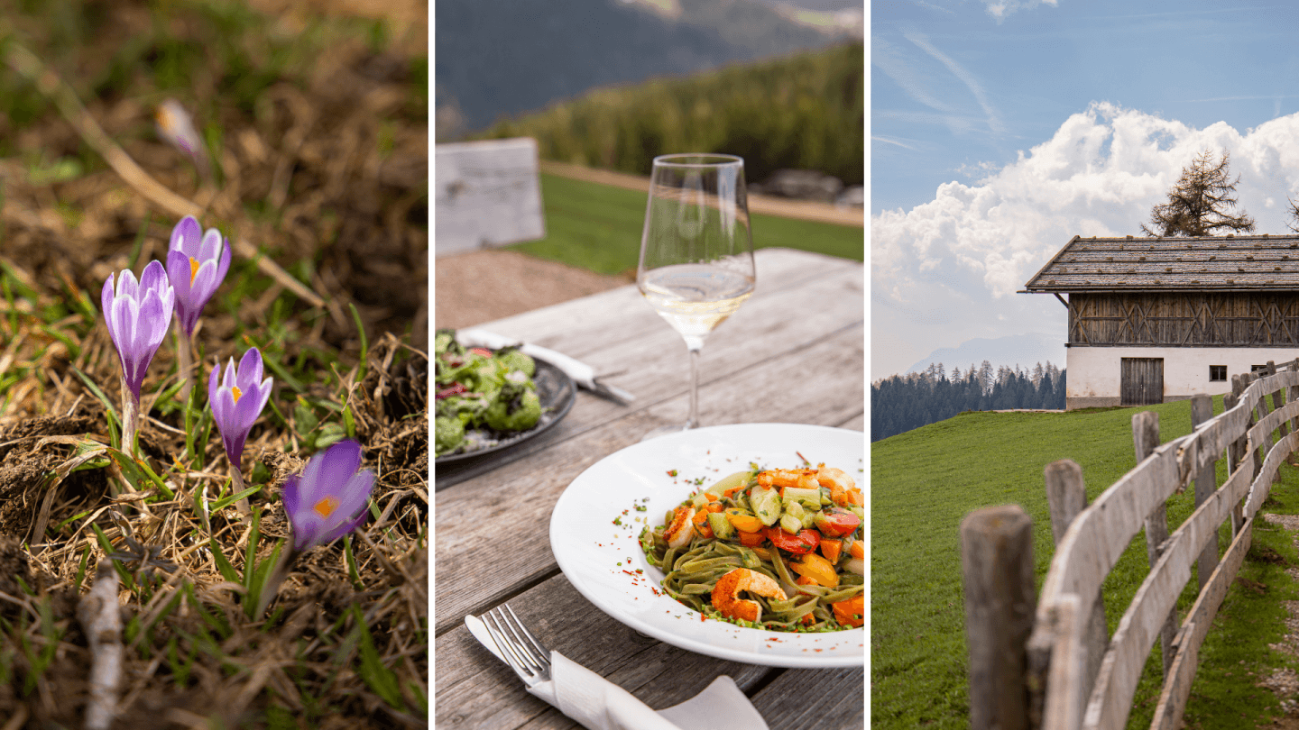 Krokusse & frühlingshafte Köstlichkeiten
