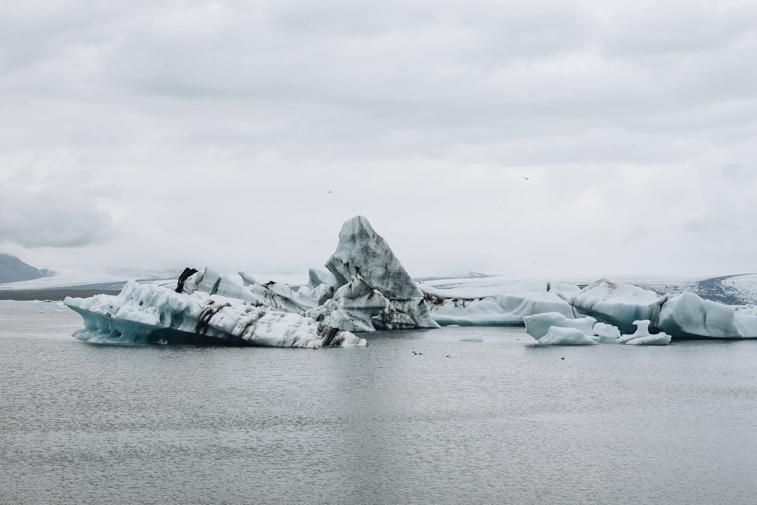 die schwimmenden Eisberge des Jökulsárlón