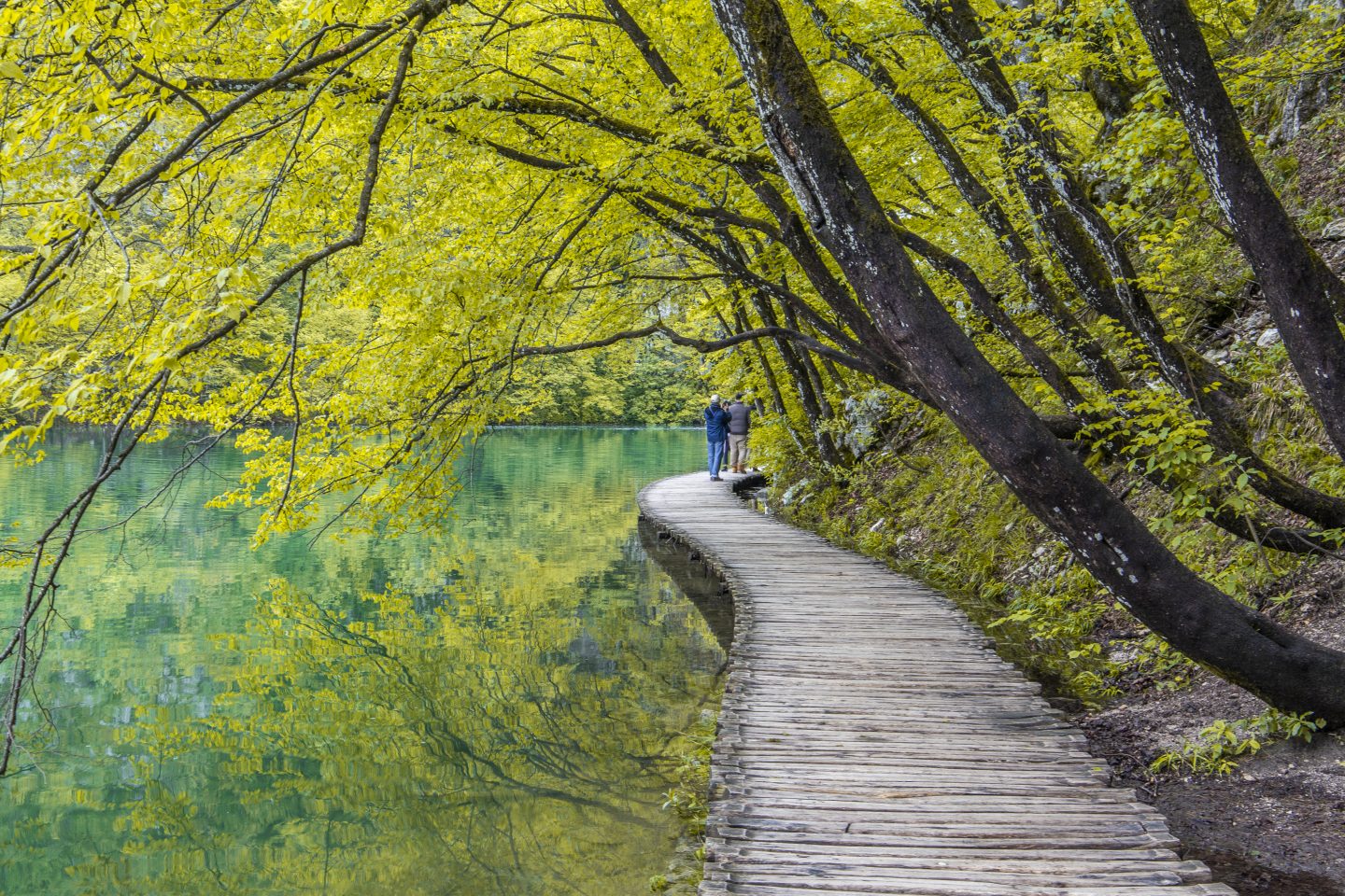 Holzsteg im Nationalpark Plitvicer Seen