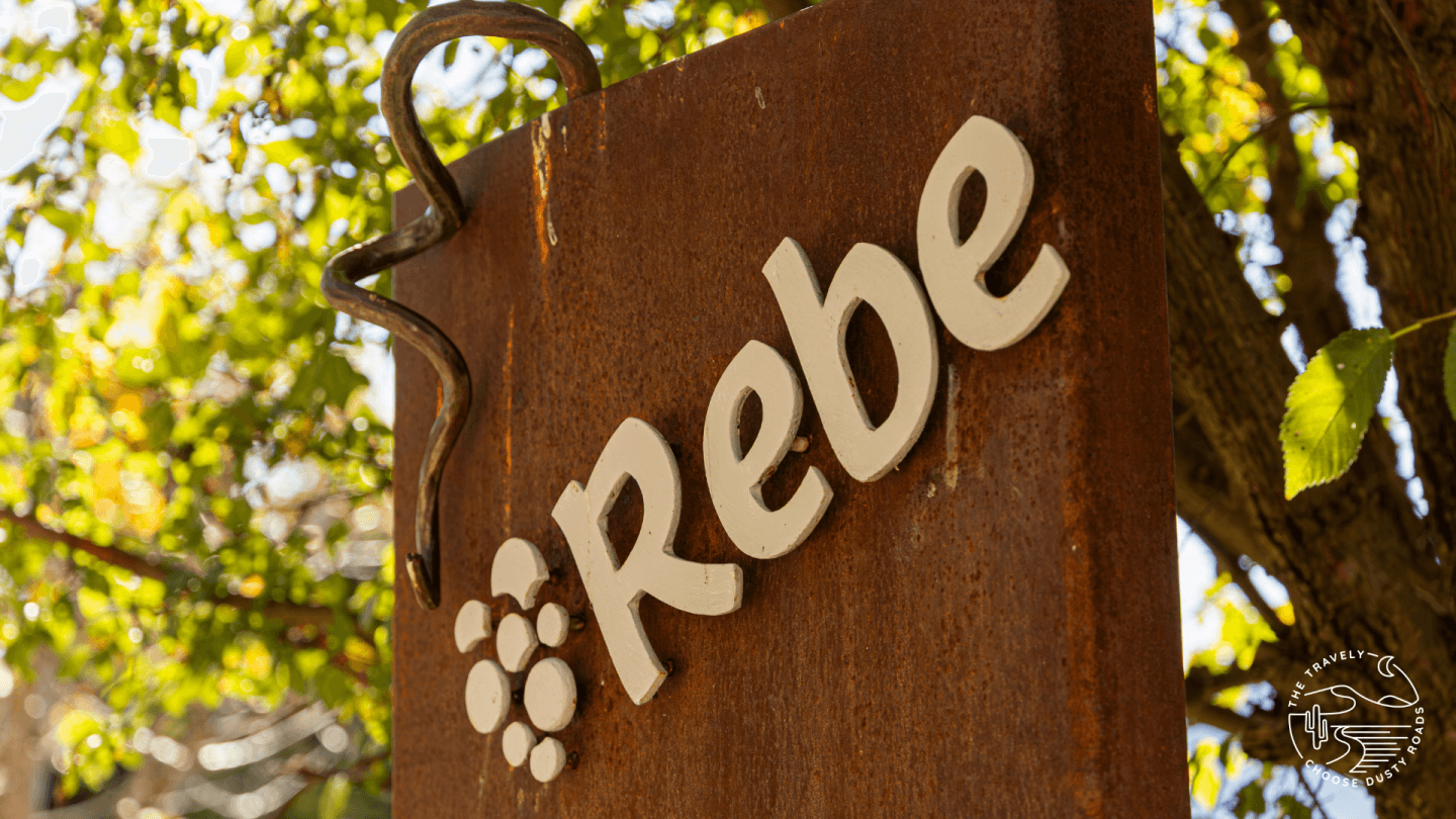 Goldene Reben & gute Laune – Mein Tag bei der REBE Weinwanderung zwischen Ritten und Bozen