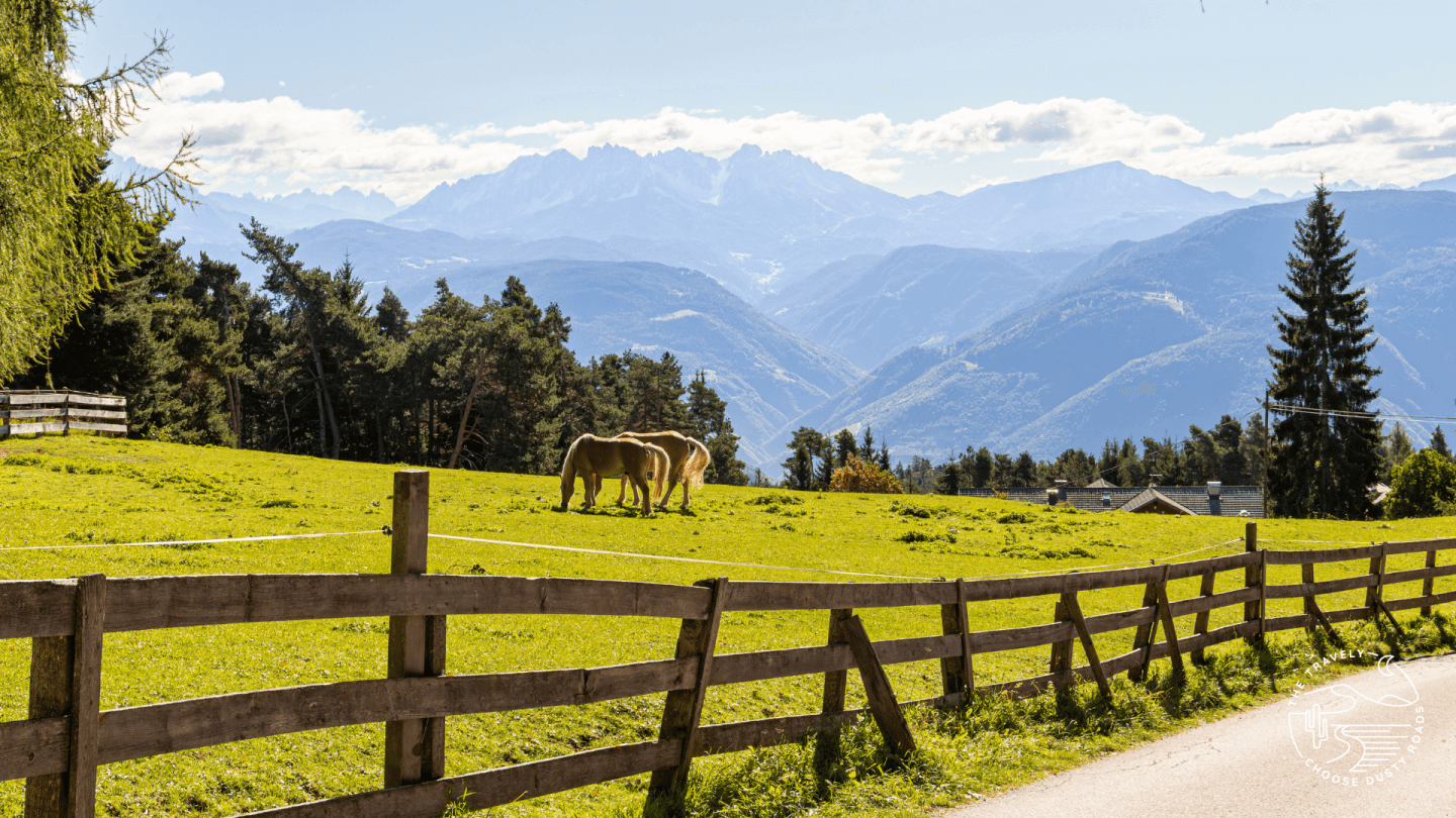 Ein Hoch auf den Herbst: Warum Jenesien im Oktober einfach goldrichtig ist