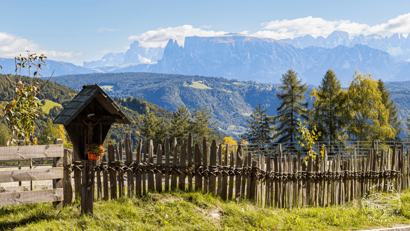 Ausblick von Jenesien