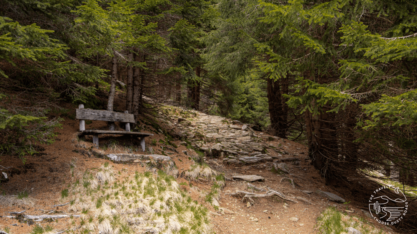 der R&uuml;ckweg nach Dorf Tirol