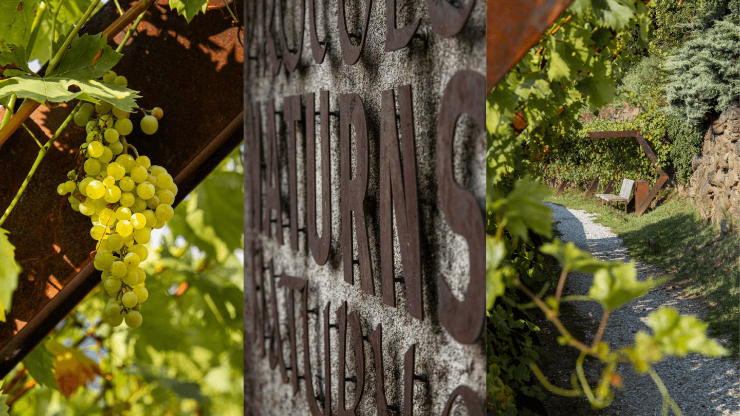 Naturns bietet einen tollen Mix aus Natur & Kultur