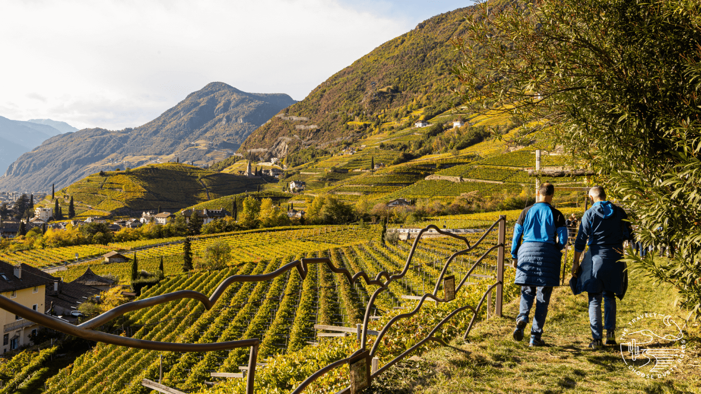 am REBE Weinwanderweg
