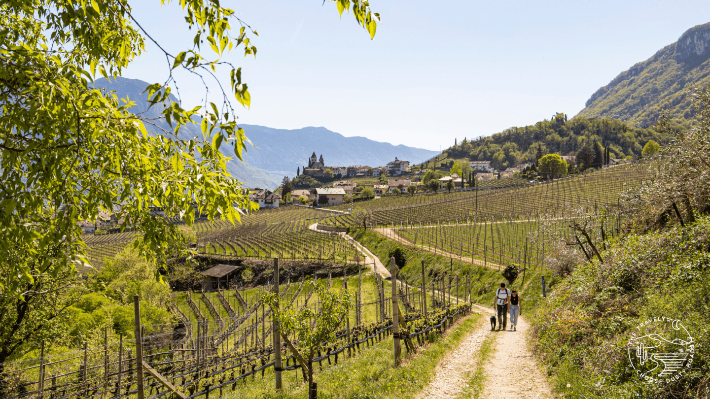 Tramin im Frühling: Apfelblüte, Tulpen & entspannte Wege durchs Weindorf
