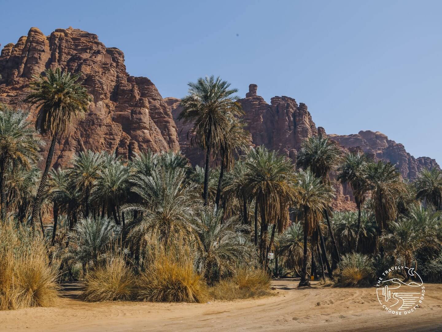Palmen und rote Felsen - Wadi Disah