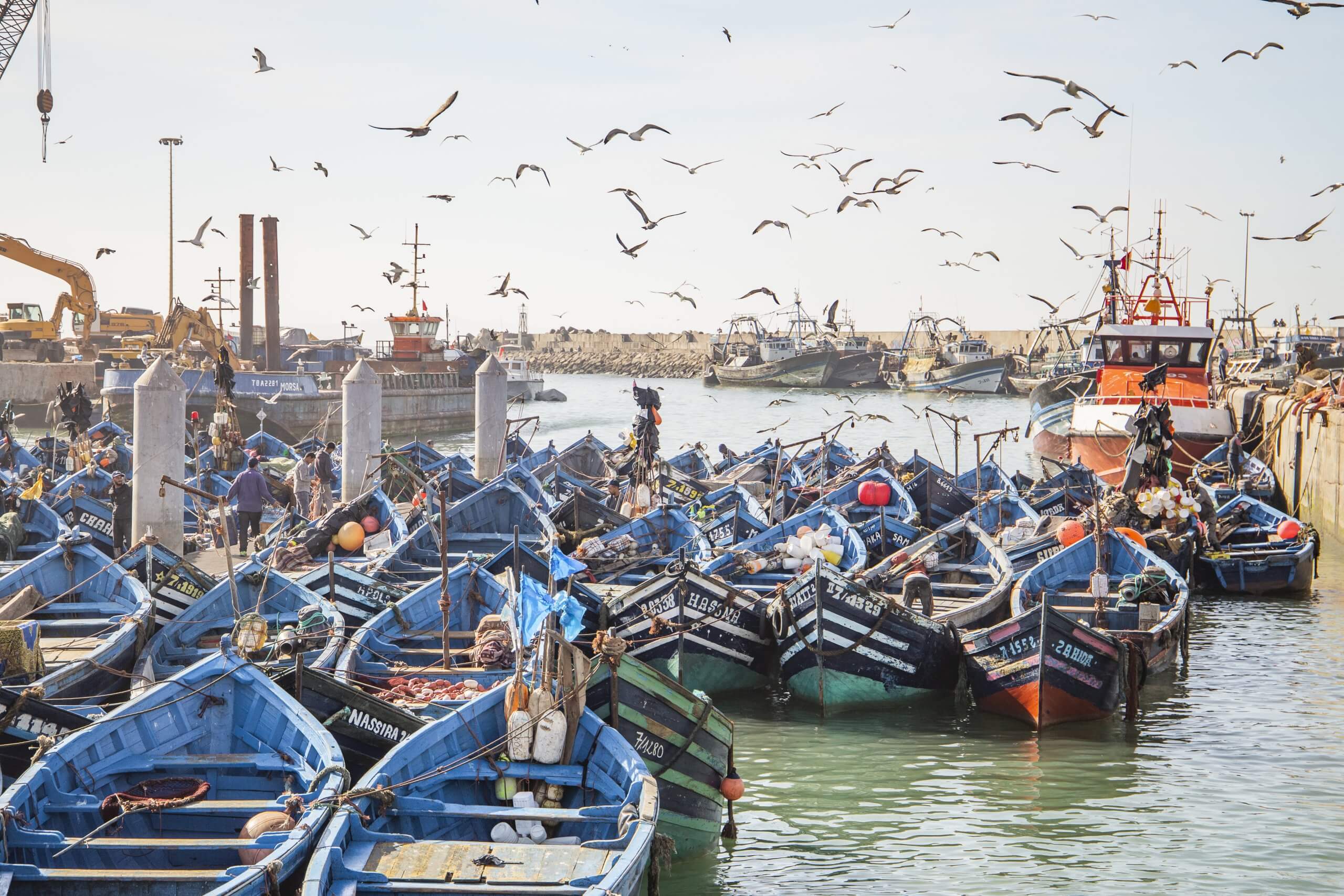 der Hafen von Essaouira