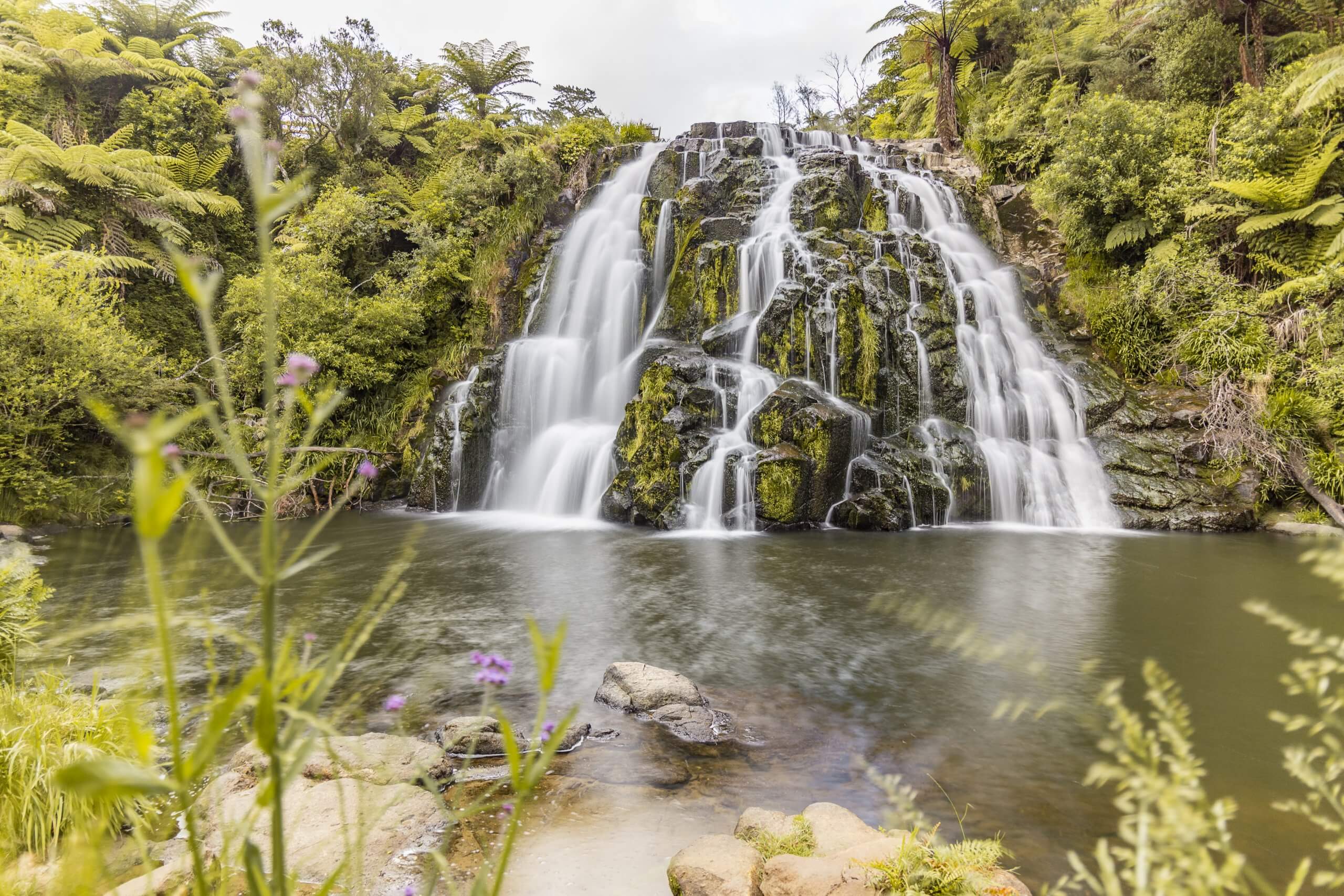 die hübschen Owharoa Falls