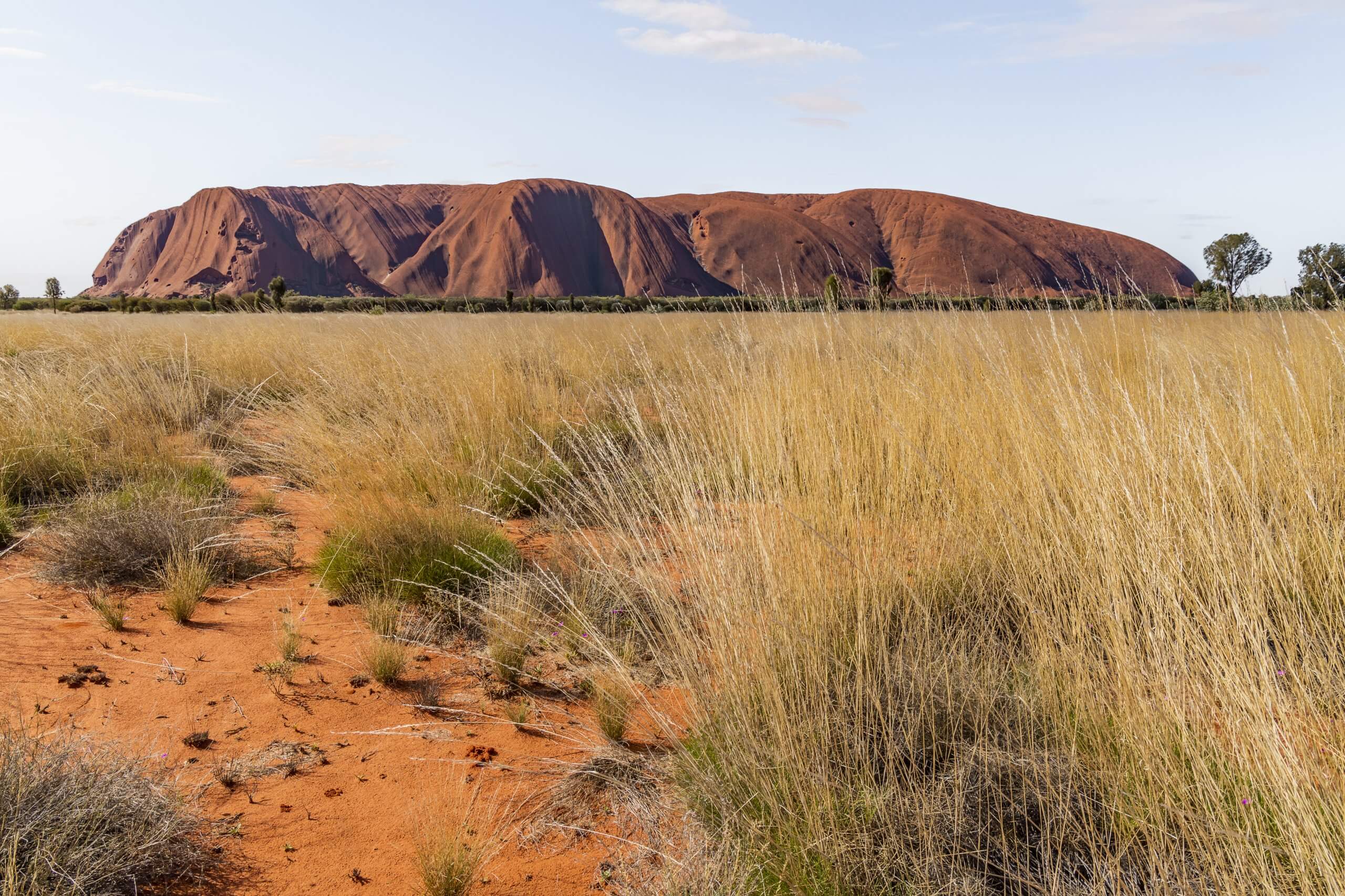 Blick auf den Uluru