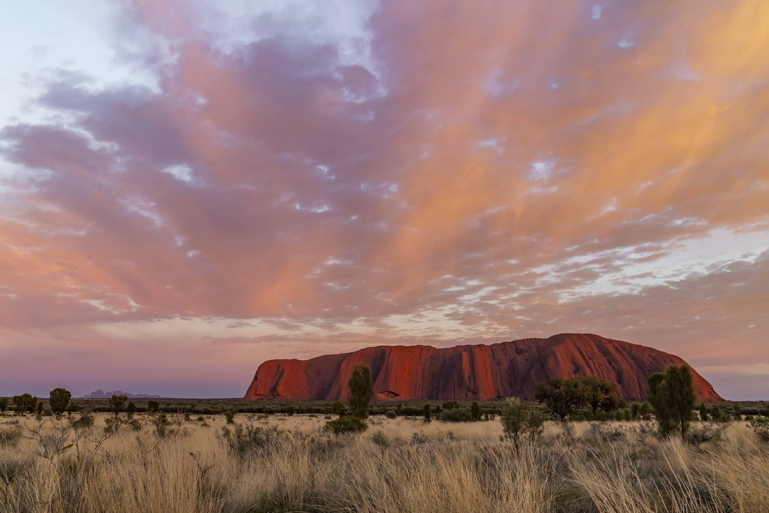 Sonnenaufgang am Uluru