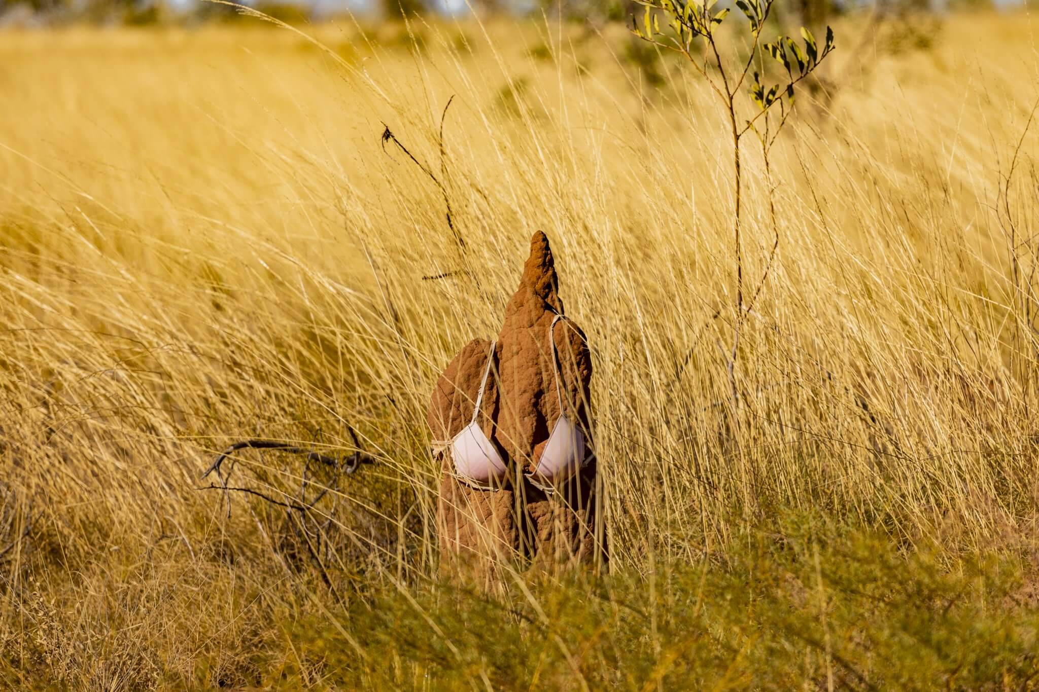 Das australische Outback ein Ort für Abenteurer • THE TRAVELY